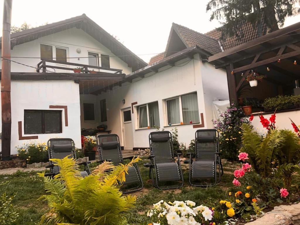 Podul De Brazi - Fir Bridge Villa คือร์ตีโชอารา ภายนอก รูปภาพ
