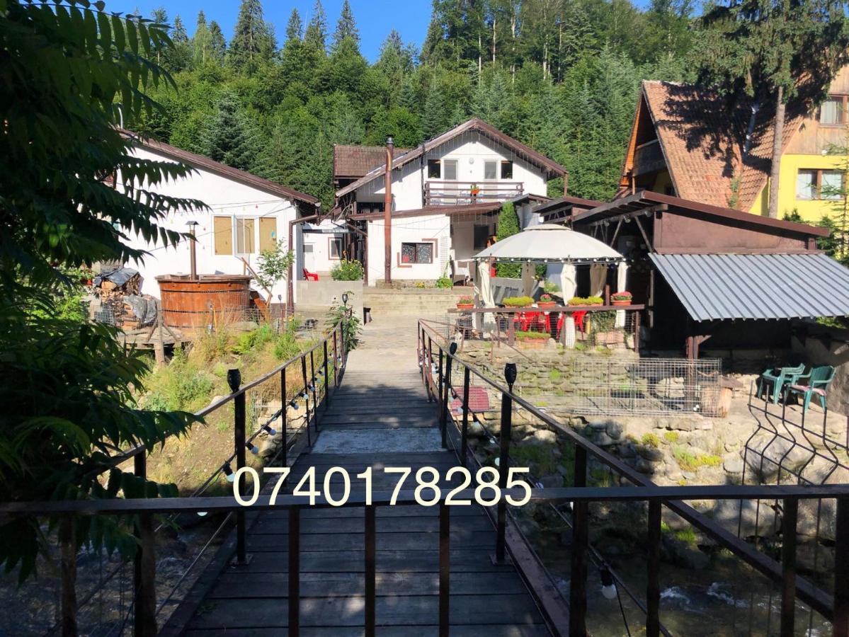 Podul De Brazi - Fir Bridge Villa คือร์ตีโชอารา ภายนอก รูปภาพ